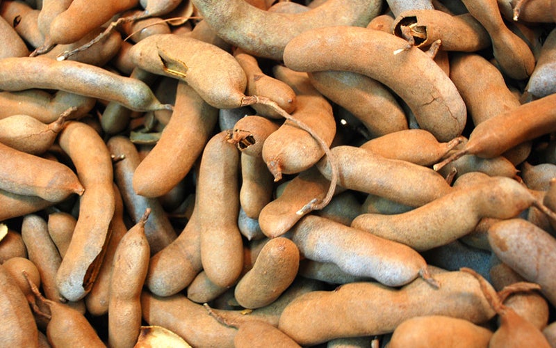 Tamarind