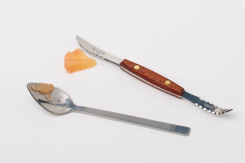 feature-dig-right-in-grapefruit-tools-400x400