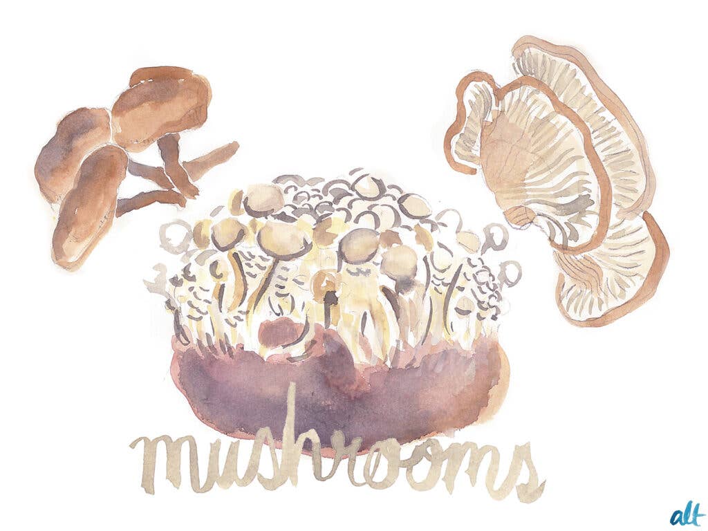 mushrooms