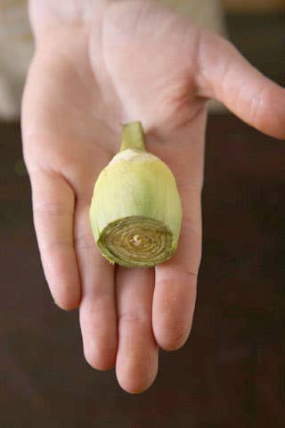 httpswww.saveur.comsitessaveur.comfilesimport2009images2009-02118-babyartichokes-trim-6-480.jpg