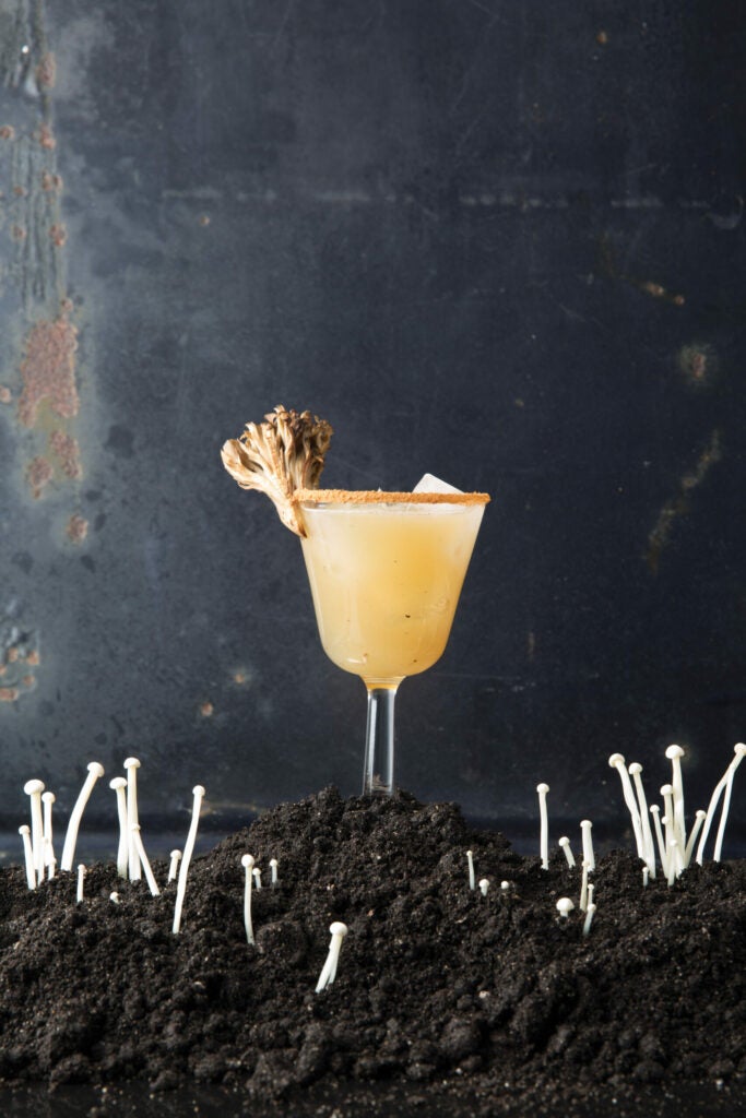 The Truffle Pig, Mushroom Cocktail