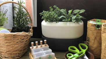These Indoor Herb Gardening Kits Will Completely Change Your Summer Meals