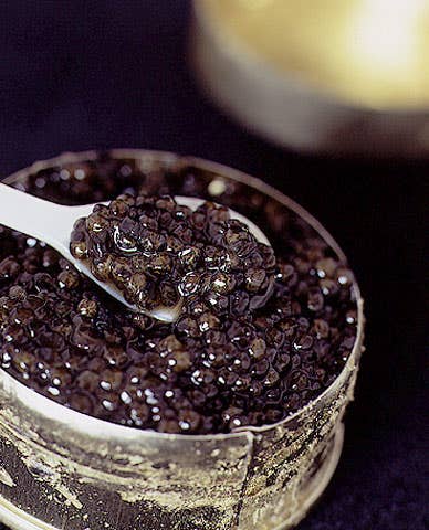 httpswww.saveur.comsitessaveur.comfilesimport2009images2009-02634-24_caviar-osetra_480.jpg