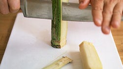 Cutting Sugarcane