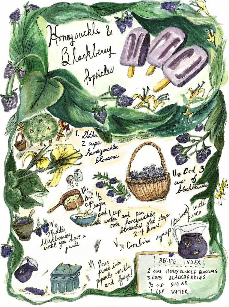 httpswww.saveur.comsitessaveur.comfilesimport2014article_comix-illustration-honeysuckle-blackberry-pops-demetria_988x1325.jpg