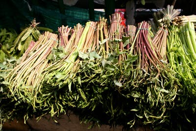 httpswww.saveur.comsitessaveur.comfilesimport2010images2010-067-Bombay_5634.jpg.jpg