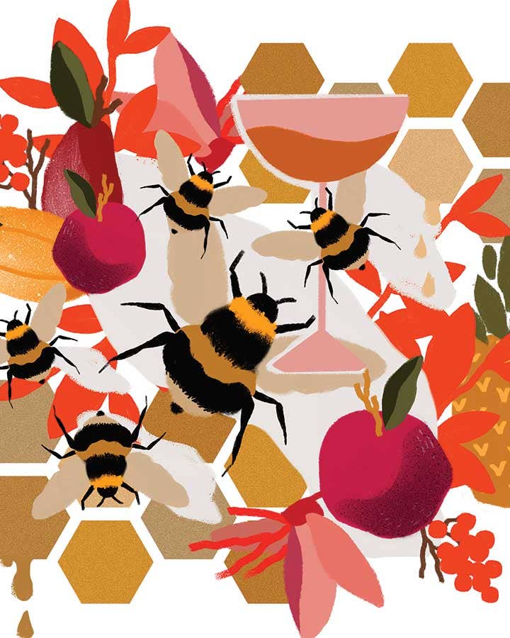 How One Hawaiian Meadery is Helping Save the Islands’ Bees