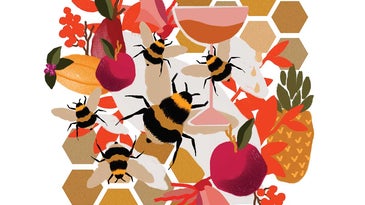 How One Hawaiian Meadery is Helping Save the Islands' Bees