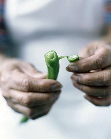 httpswww.saveur.comsitessaveur.comfilesimport2009images2009-03634-84_getting_to_good_part_1_480.jpg