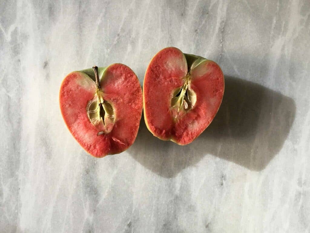 Mountain Rose Apples