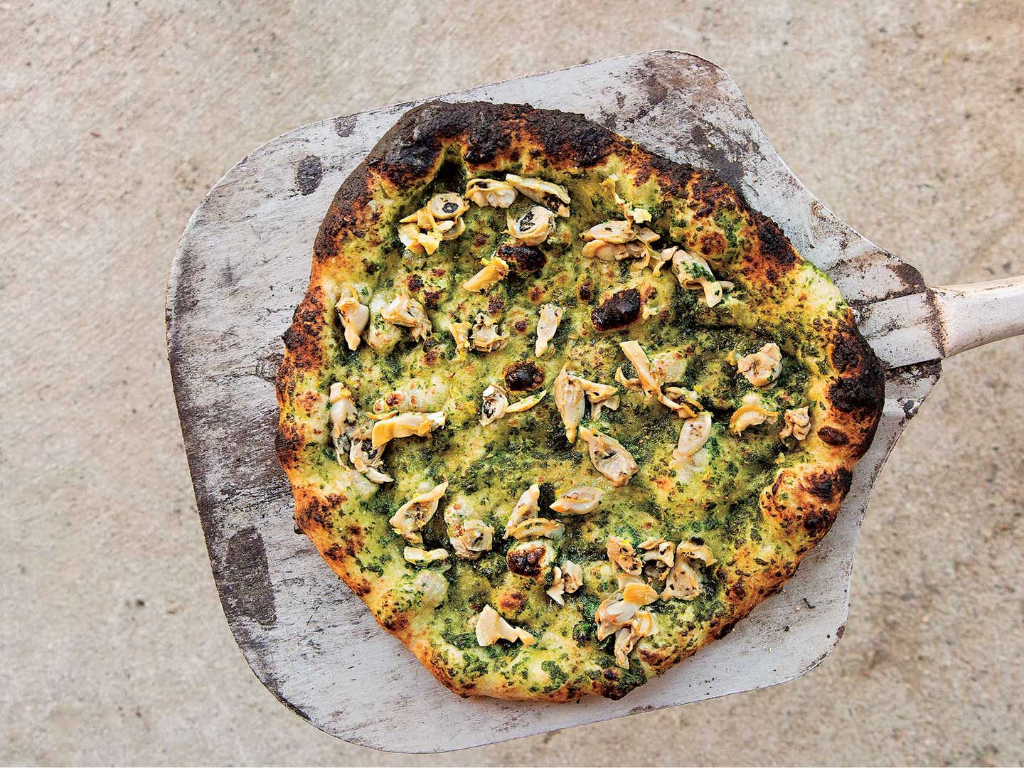 Clam Pizza at Yale Farm; New Haven, Connecticut