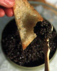 A Short Course on Caviar