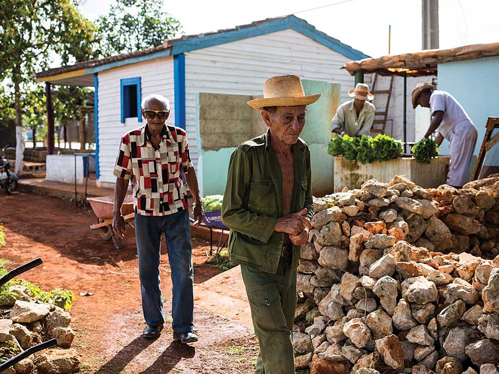 Ernesto Alpízar, Johnny Appleseed of Cuban Strawberries