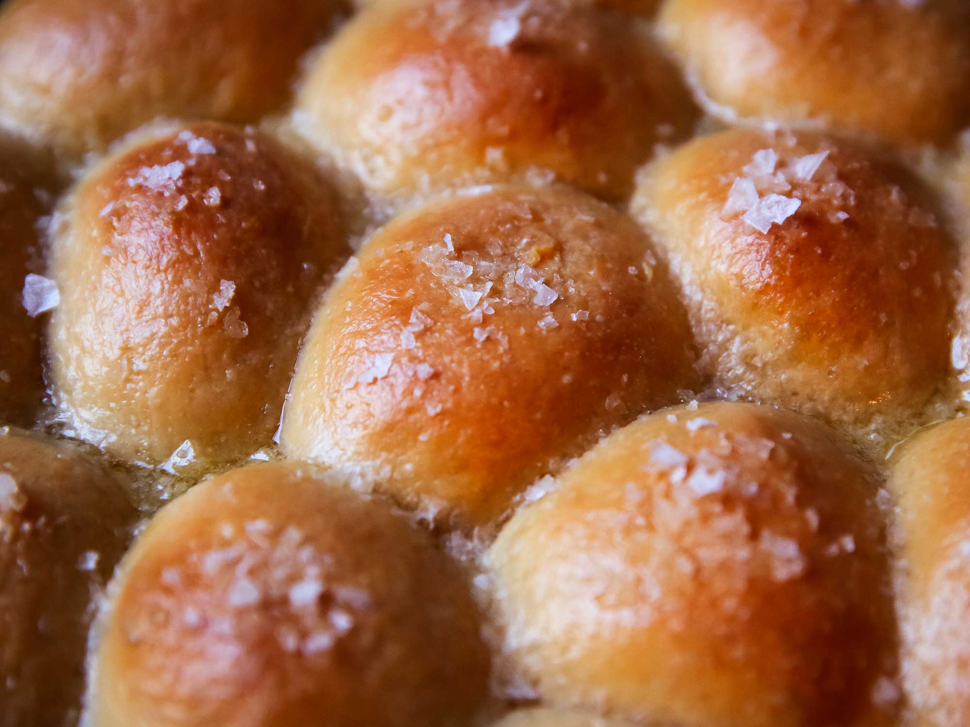 Homemade Parker House Dinner Rolls - Mountain Mama Cooks