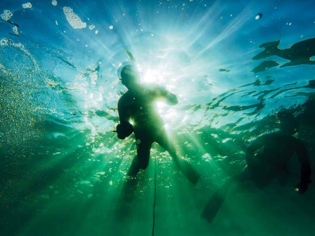 freediving for purple urchins