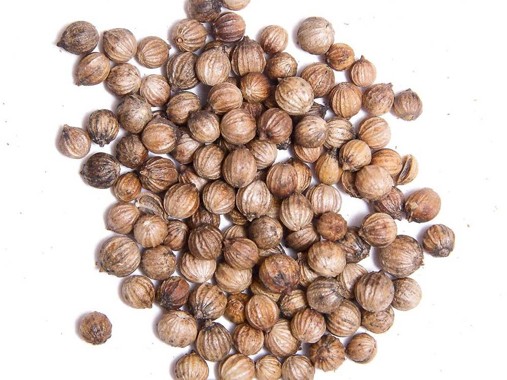 Coriander Seeds