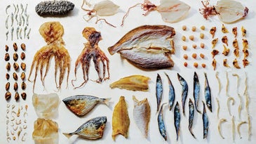 A Guide to the Dried Seafood of Chinatown