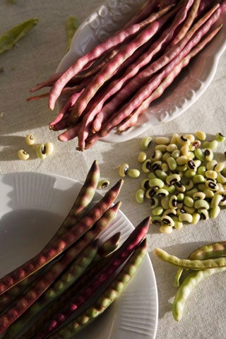 Visual Pantry: Issue 111