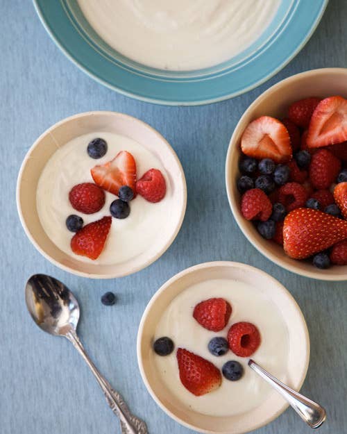 feature-yogurt-comes-home-500x750