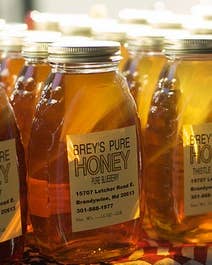 One Ingredient, Many Ways: Honey