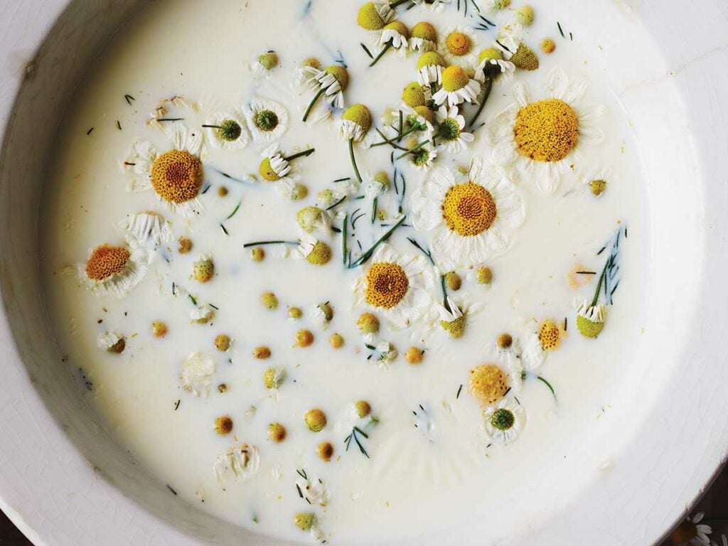 Chamomile Gelato