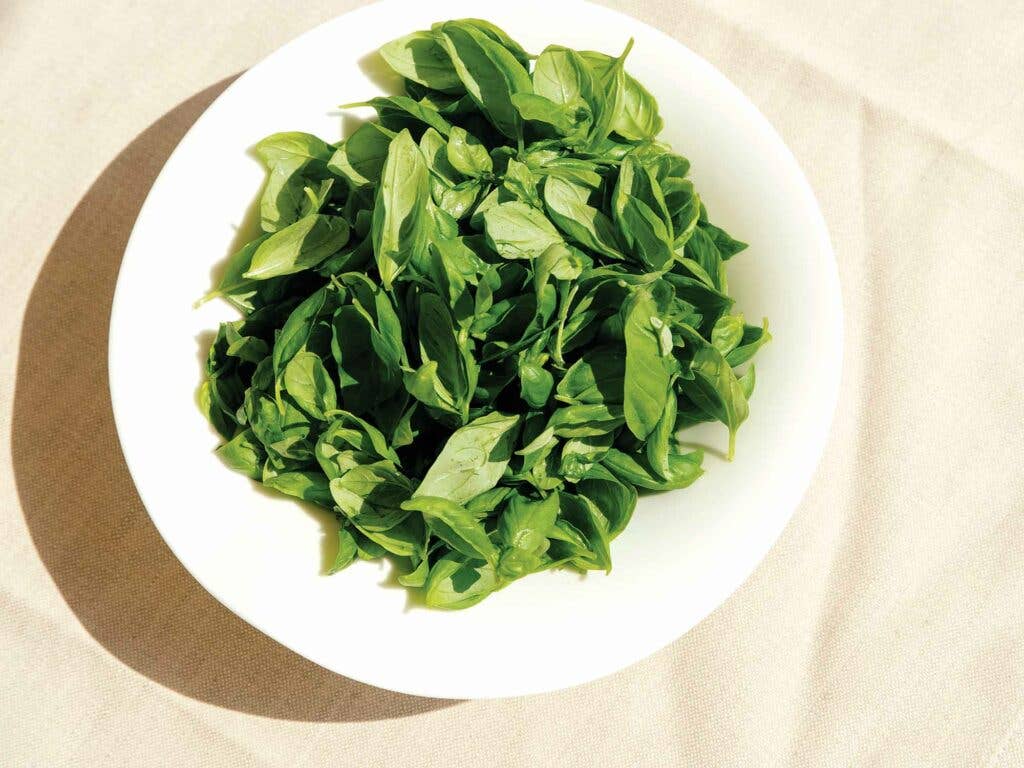 Basil leaves