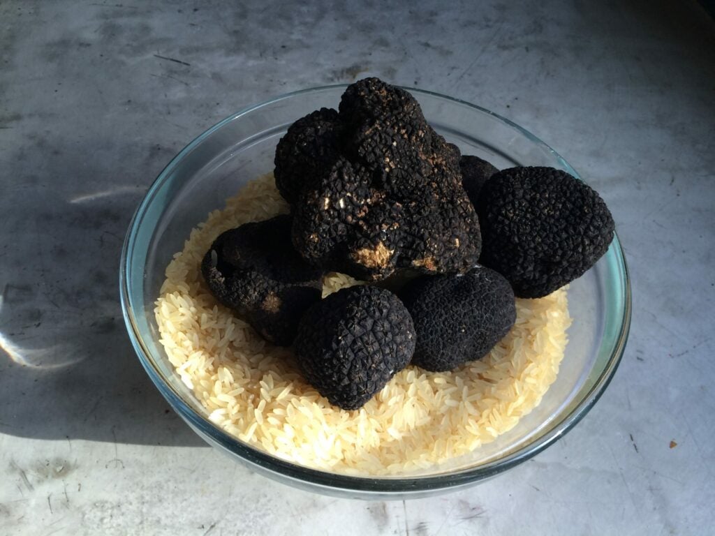 Storing Truffles