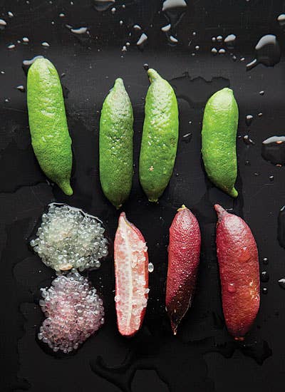Tiny Giant: The Beauty of Finger Limes