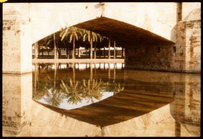 httpswww.saveur.comsitessaveur.comfilesimport2010images2010-127-SV85-Valencia-Palms-400.jpg