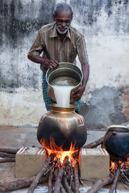 Pongal Feast Day