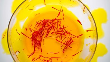 Red Gold: Finding Saffron in Tuscany