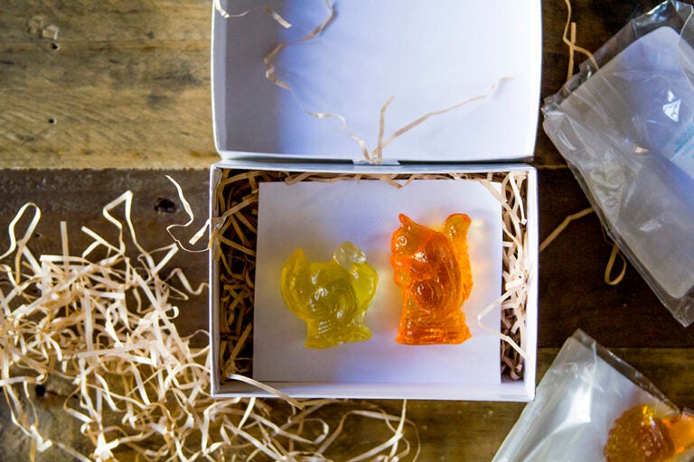 One Good Find: Clear Toy Candies | Saveur