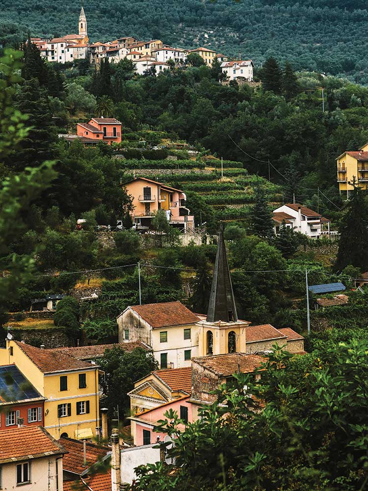 Terraced Farms