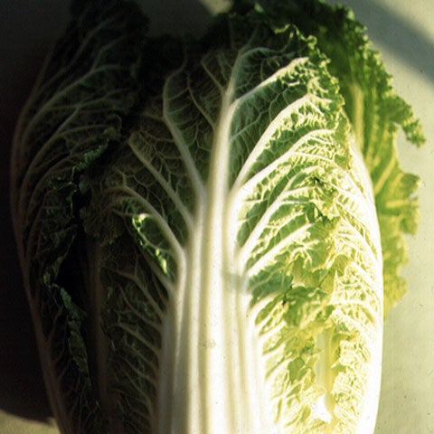 Chinese Cabbage