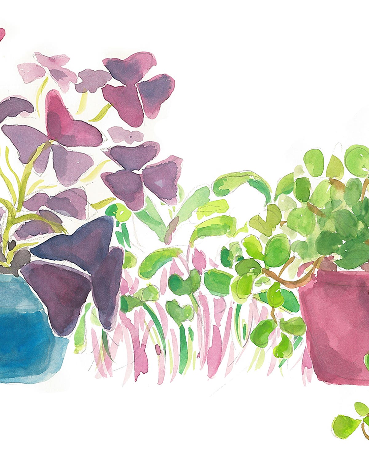 Countertop Crops: Kitchen Plants and Pots to Put Them In Countertop Crops: Kitchen Plants and Pots to Put Them In