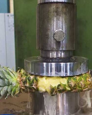 Watch Our Favorite Videos of Super-Specific Food Testing Machines