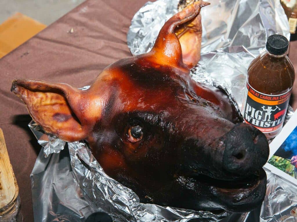 pig head