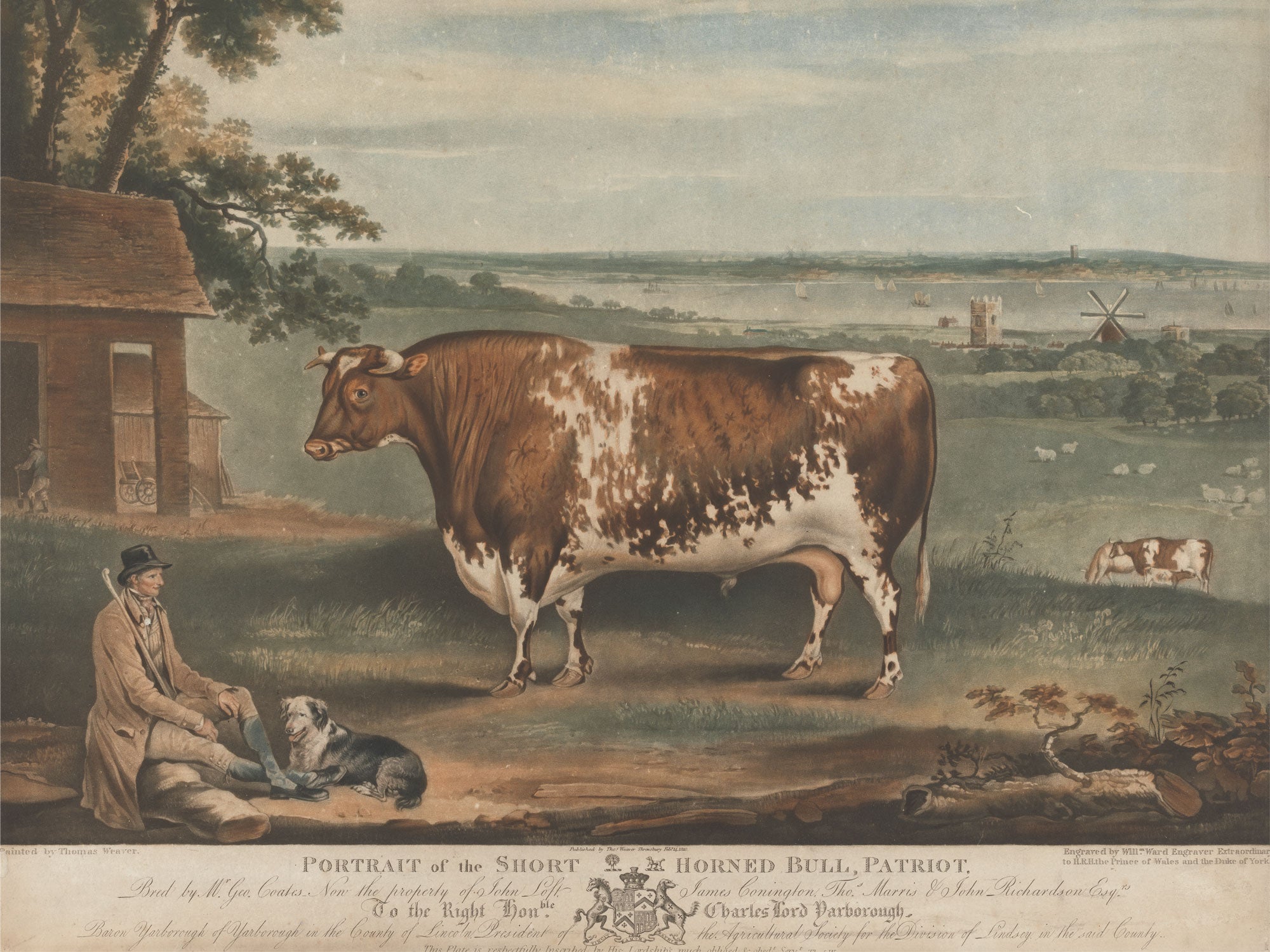 These Livestock Portraits Were the Ultimate Displays of Wealth in  19th-Century Britain