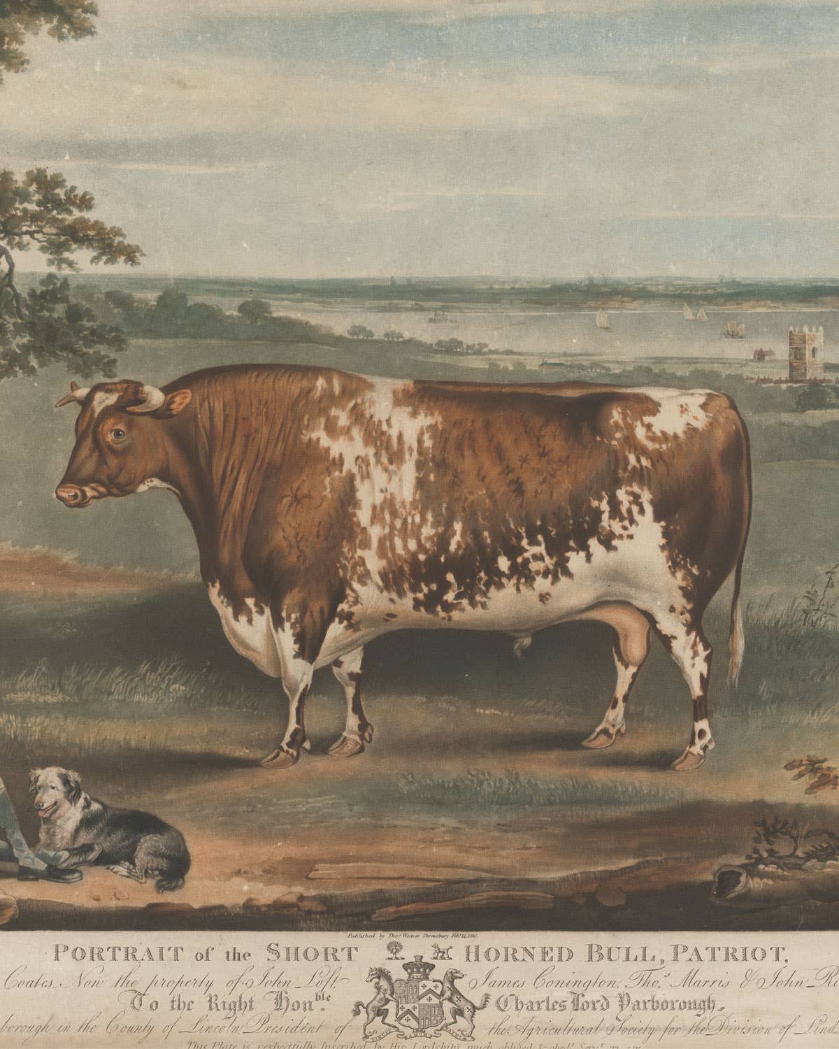 These Livestock Portraits Were the Ultimate Displays of Wealth in 19th-Century Britain