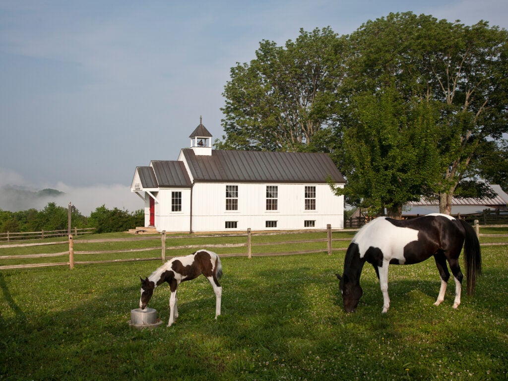 Restaurants that Farm, Woodland Farm, Proof on Main