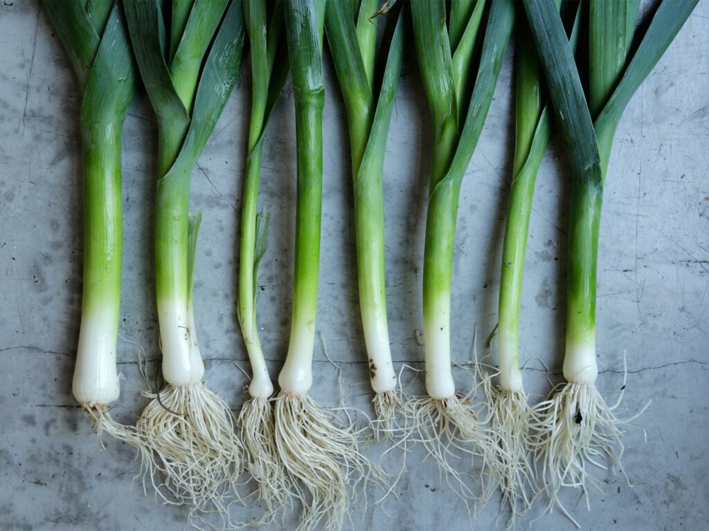 Leeks