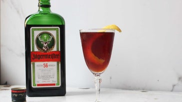 Count Mast Negroni cocktail