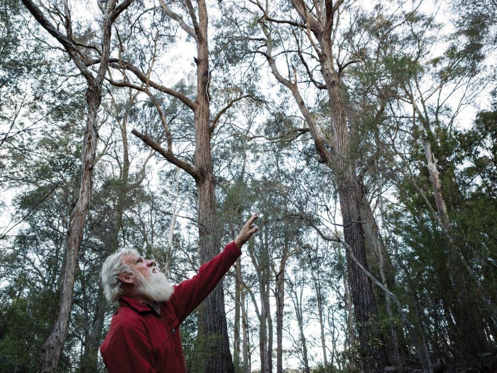 Australia, Bruce Pascoe, David Maurice Smith