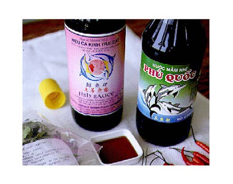 httpswww.saveur.comsitessaveur.comfilesimport2008images2008-04634-13_fish_sauce_1_480.jpg