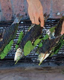 Grilled Sea Bass Wrapped in Fig Leaves (Lavraki Stin Schara)