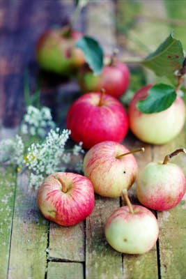 httpswww.saveur.comsitessaveur.comfilesimport2012images2012-027-apples_267x400.jpg