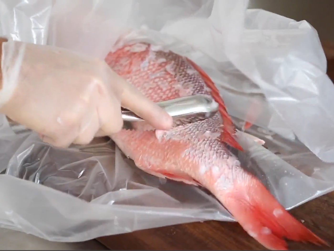 How to Gut and Scale a Whole Fish in 9 Steps