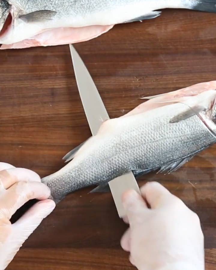 Basics: How to Fillet a Fish