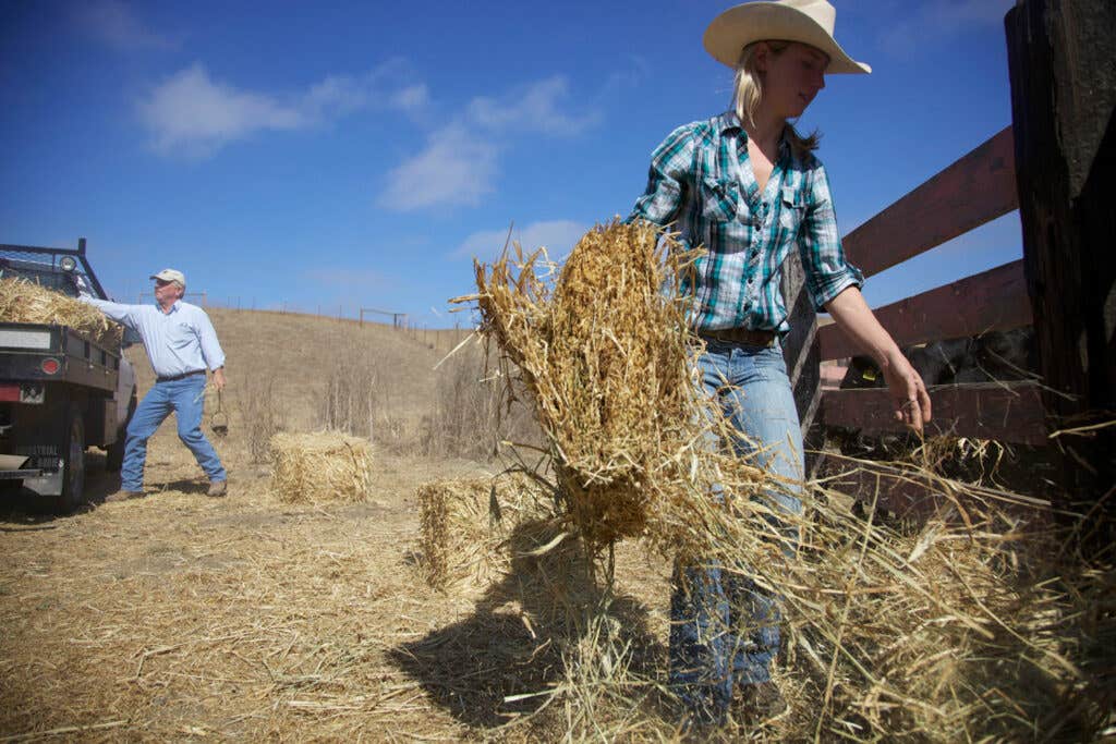 httpswww.saveur.comsitessaveur.comfilesimport2012images2012-127-SAV152-CARanch.6-1500×1000.jpg httpswww.saveur.comsitessaveur.comfilesimport2012images2012-127-SAV152-CARanch.6-1500×1000.jpg