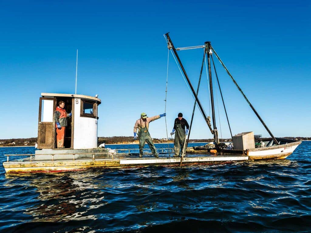 oyster crew winches up a cage